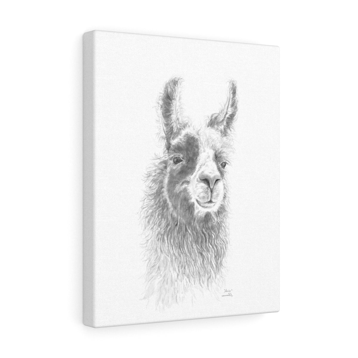 ANNIE Llama - Art Canvas
