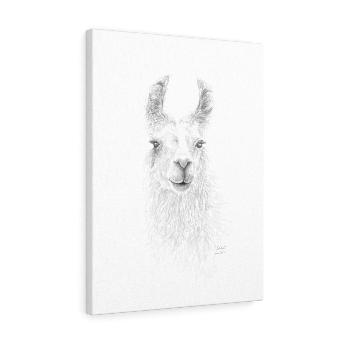 KAHLIE Llama - Art Canvas