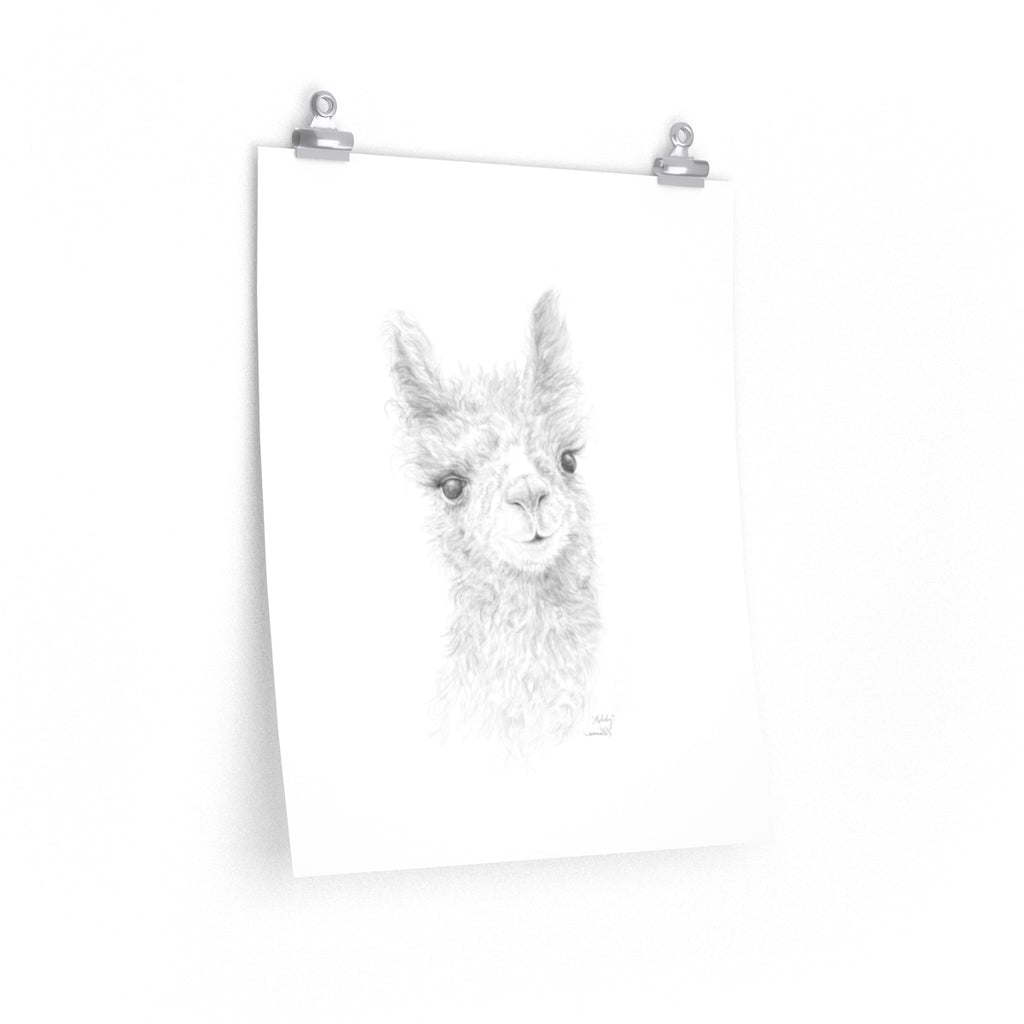 MELODY Llama- Art Paper Print