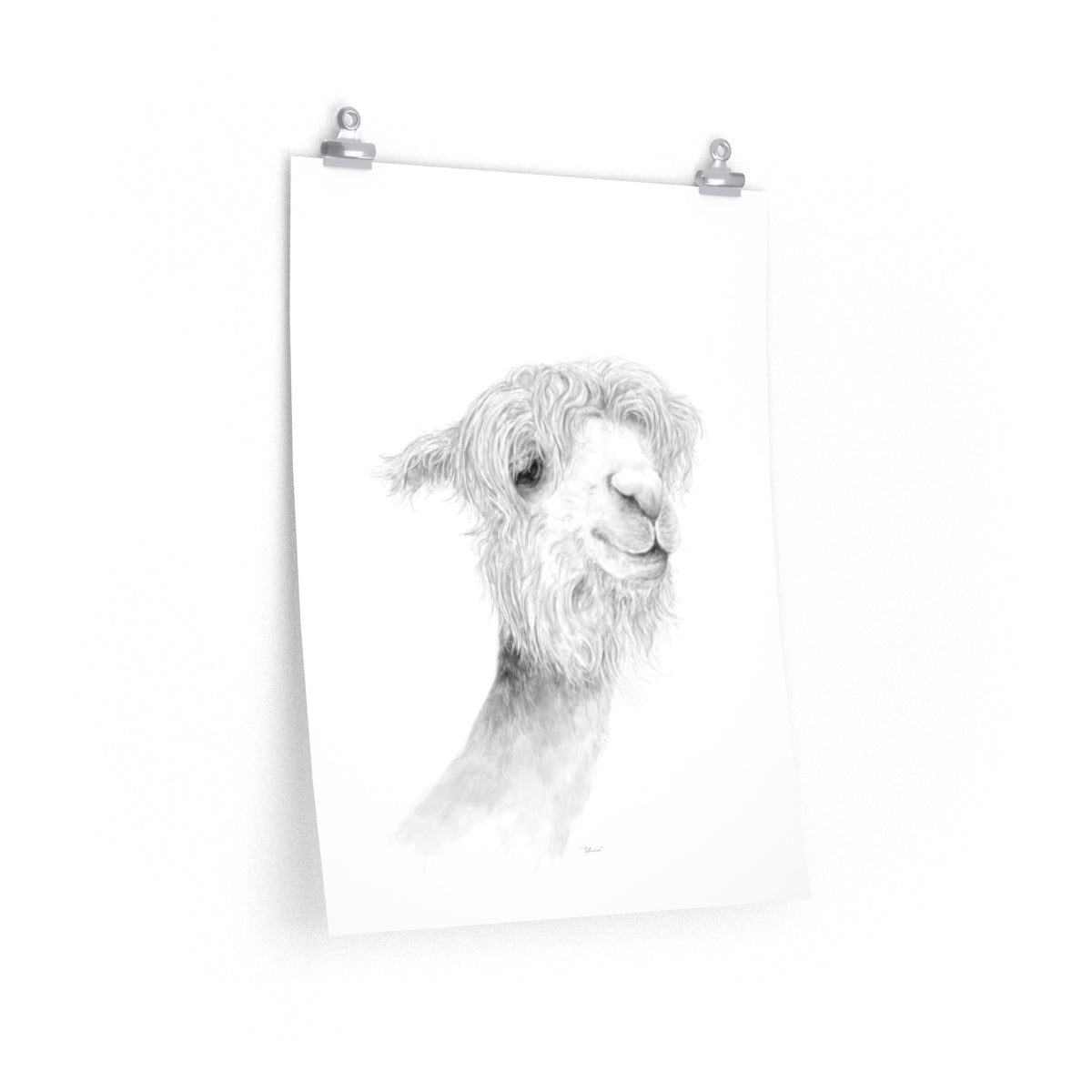 PATRICIA Llama- Art Paper Print