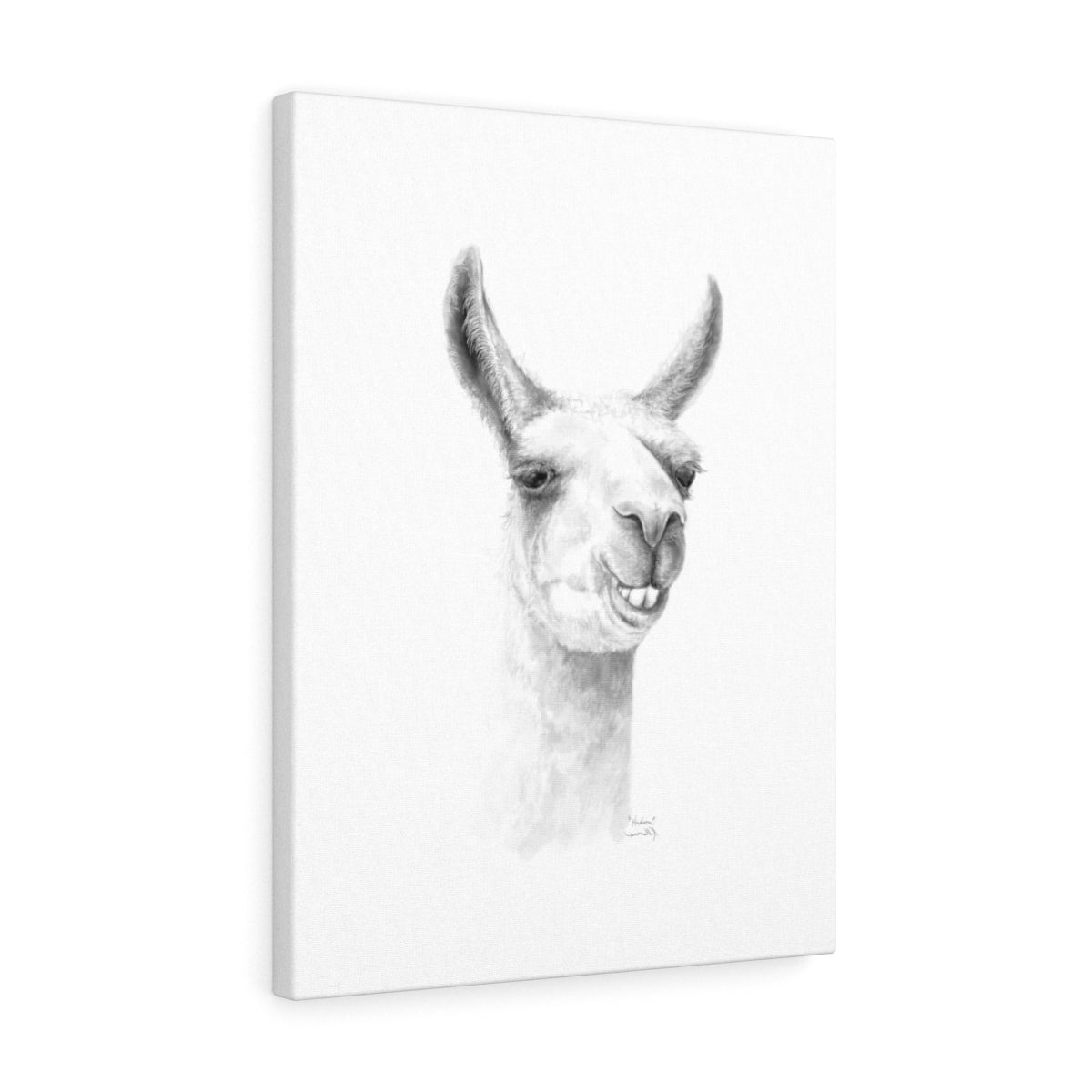 HUDSON Llama - Art Canvas