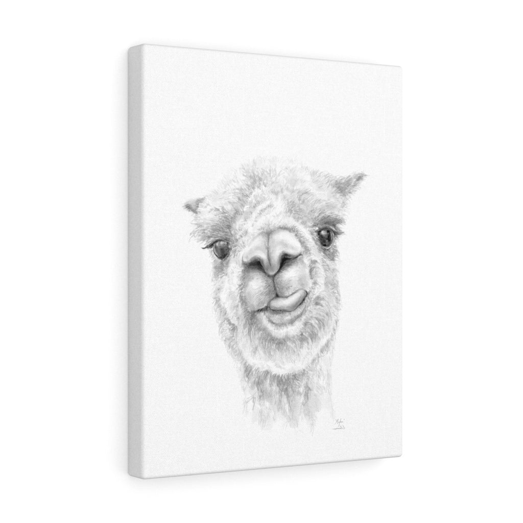 Myka Llama - Art Canvas