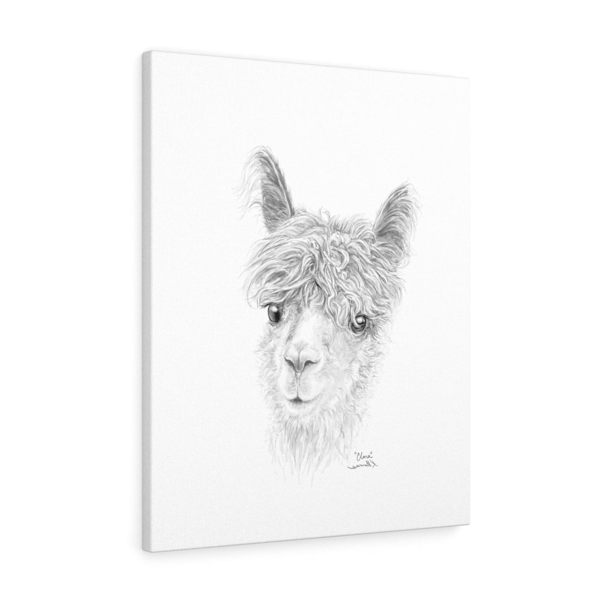CLARA Llama - Art Canvas