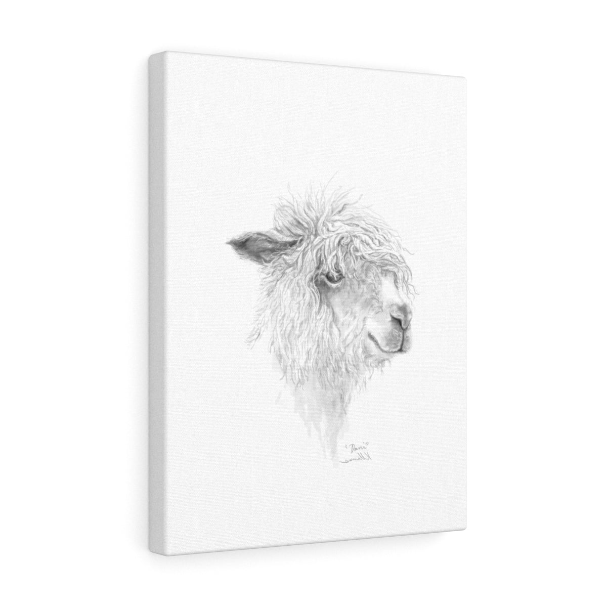 DANI Llama - Art Canvas