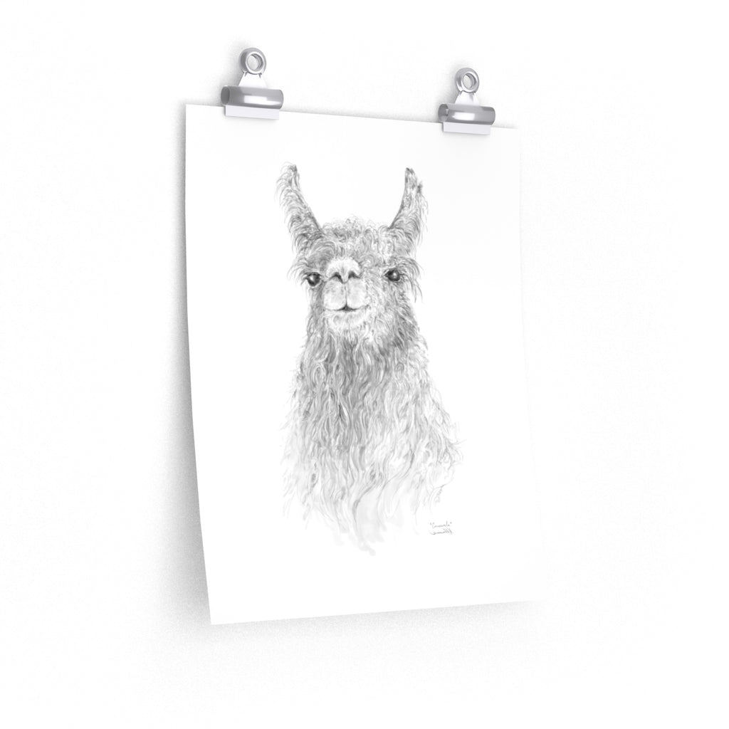 CONSWALA Llama- Art Paper Print