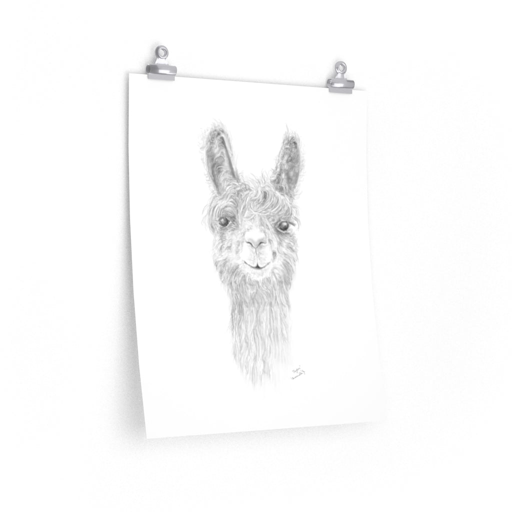 PAYTON Llama- Art Paper Print