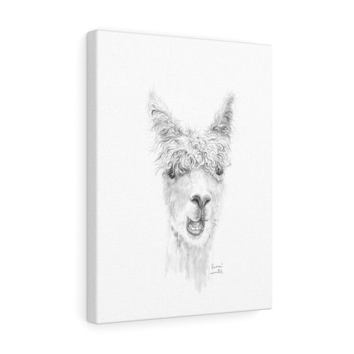 LEONA Llama - Art Canvas