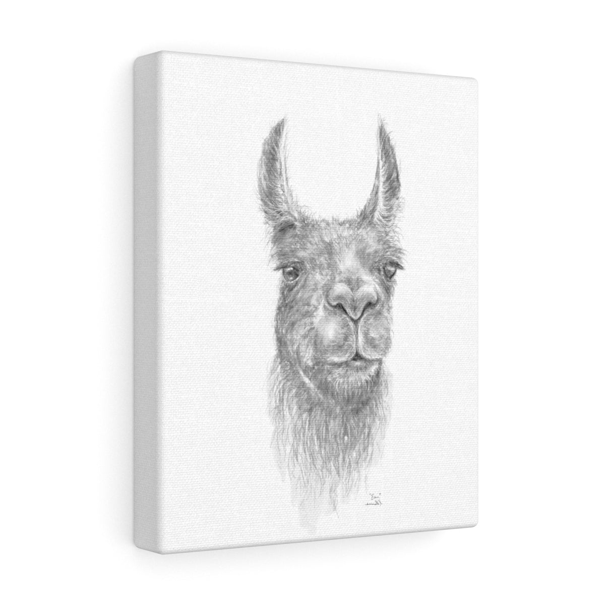 EVAN Llama - Art Canvas
