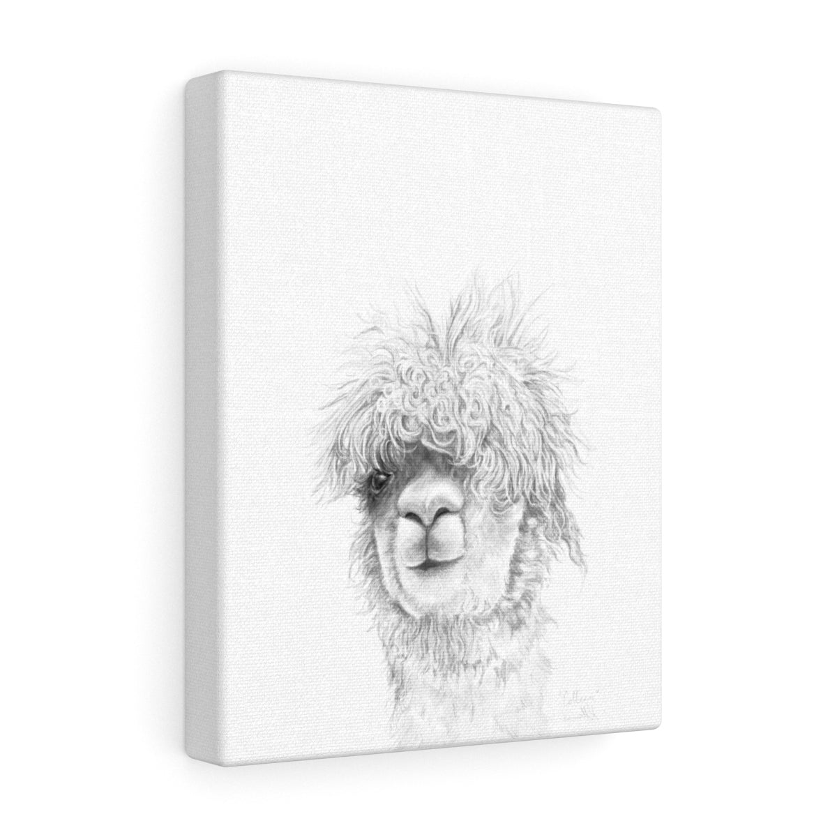 COLLEEN Llama - Art Canvas