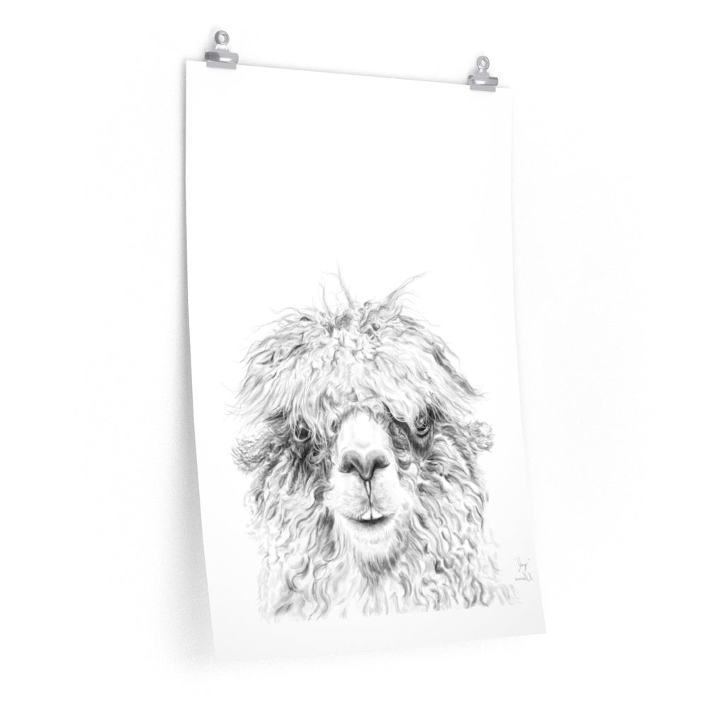 JAY Llama- Art Paper Print