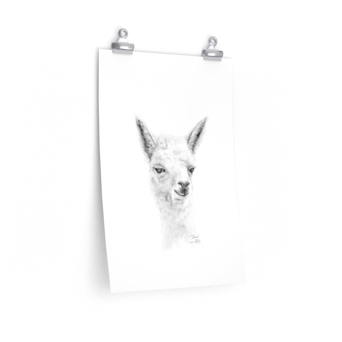 ROSIE Llama- Art Paper Print