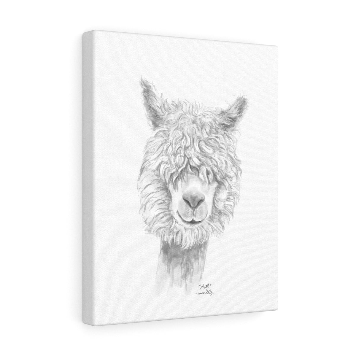 MATT Llama - Art Canvas