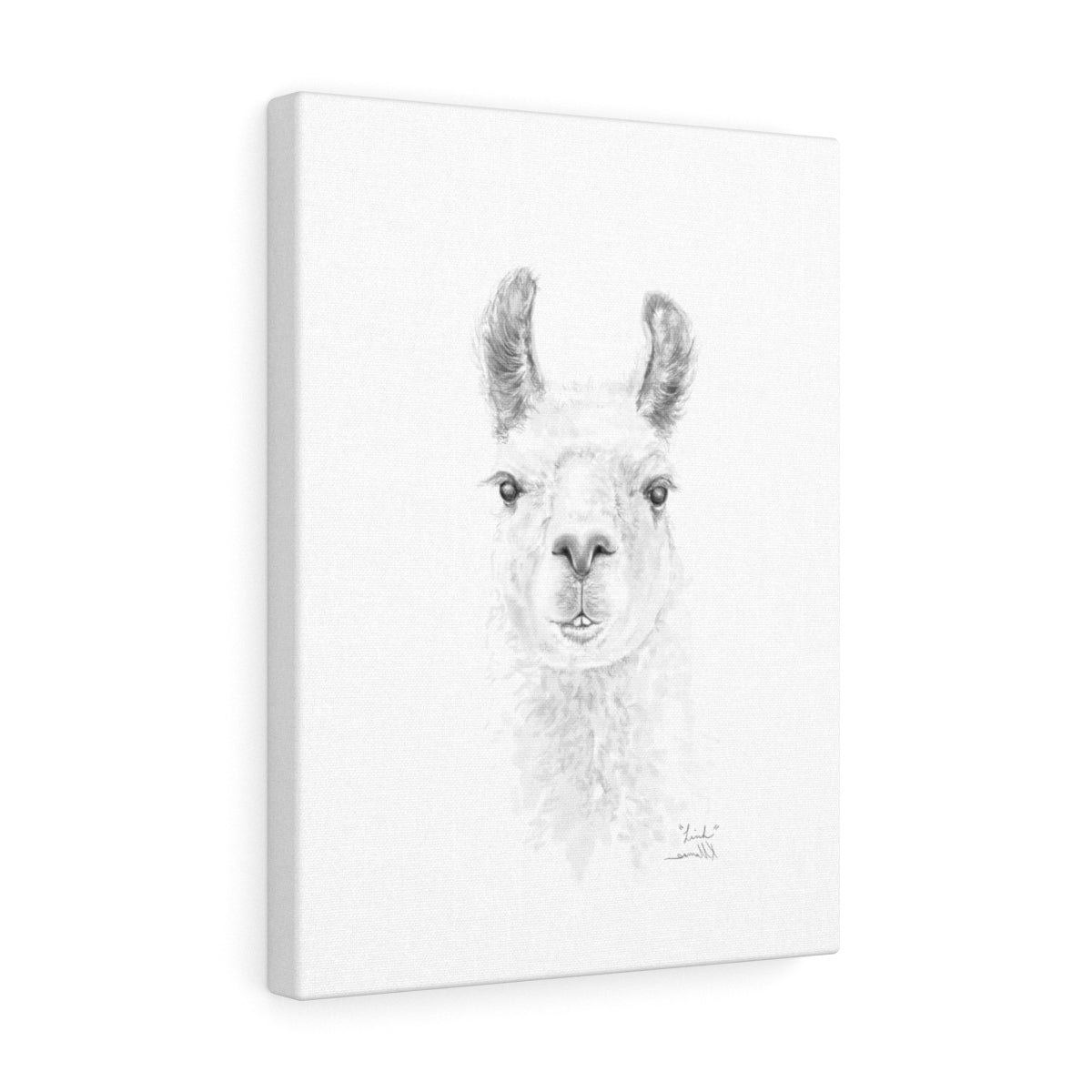 LINH Llama - Art Canvas