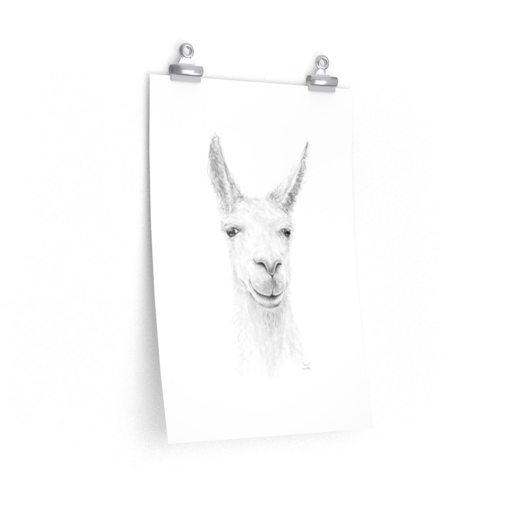 IAN Llama- Art Paper Print