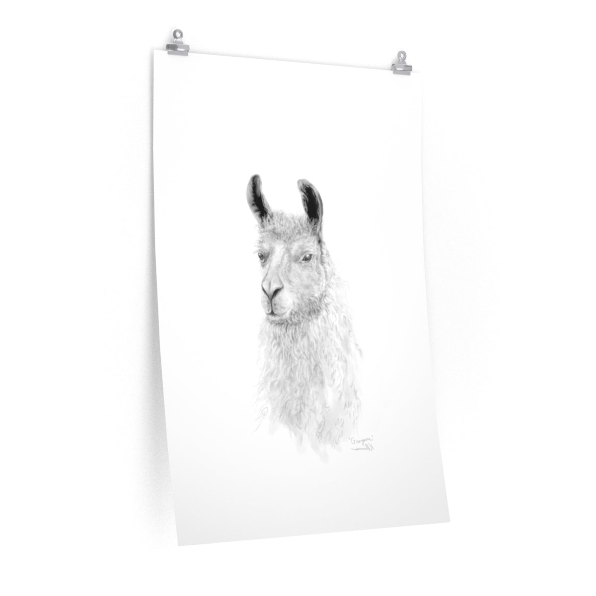 GRAYSON Llama- Art Paper Print