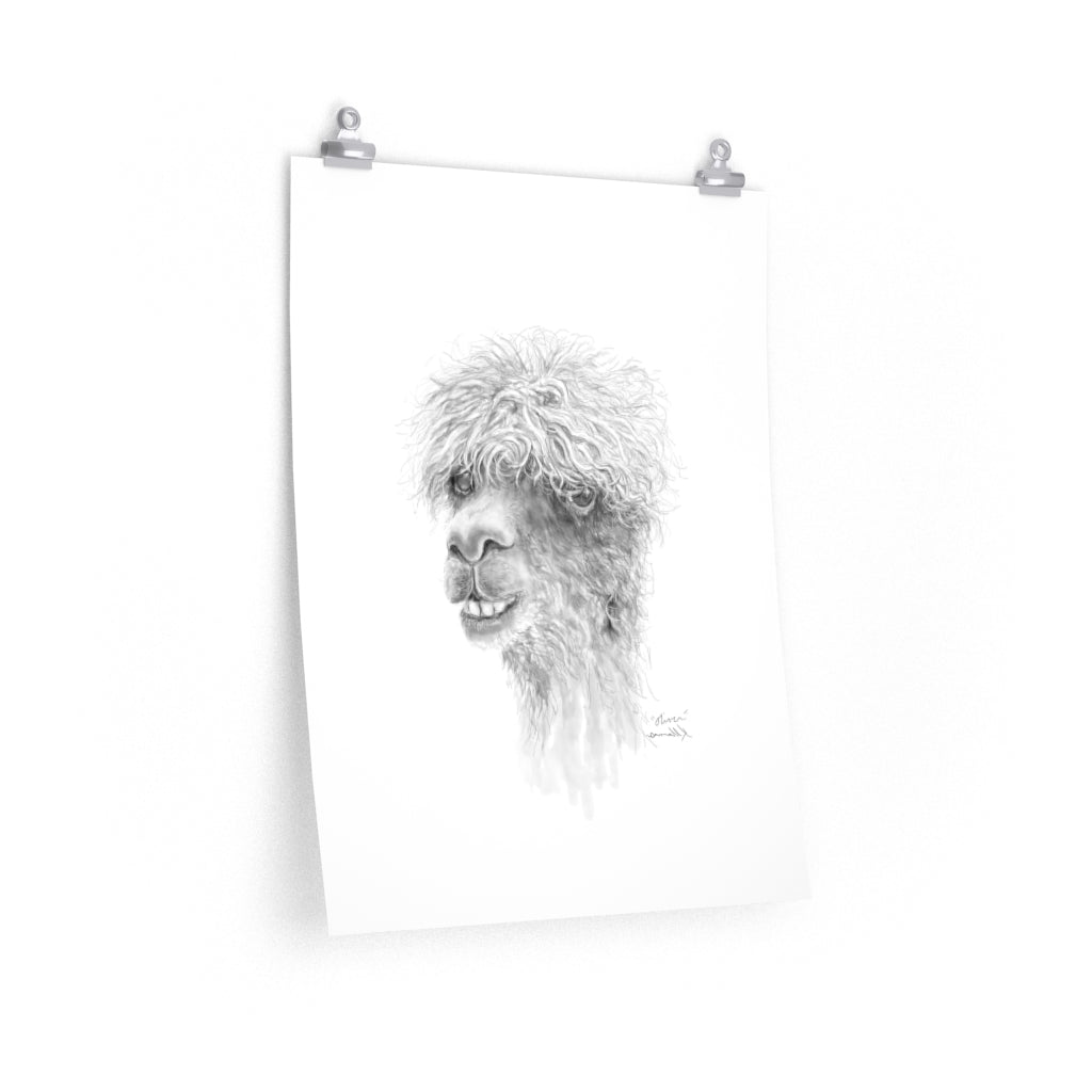 OLIVER Llama- Art Paper Print