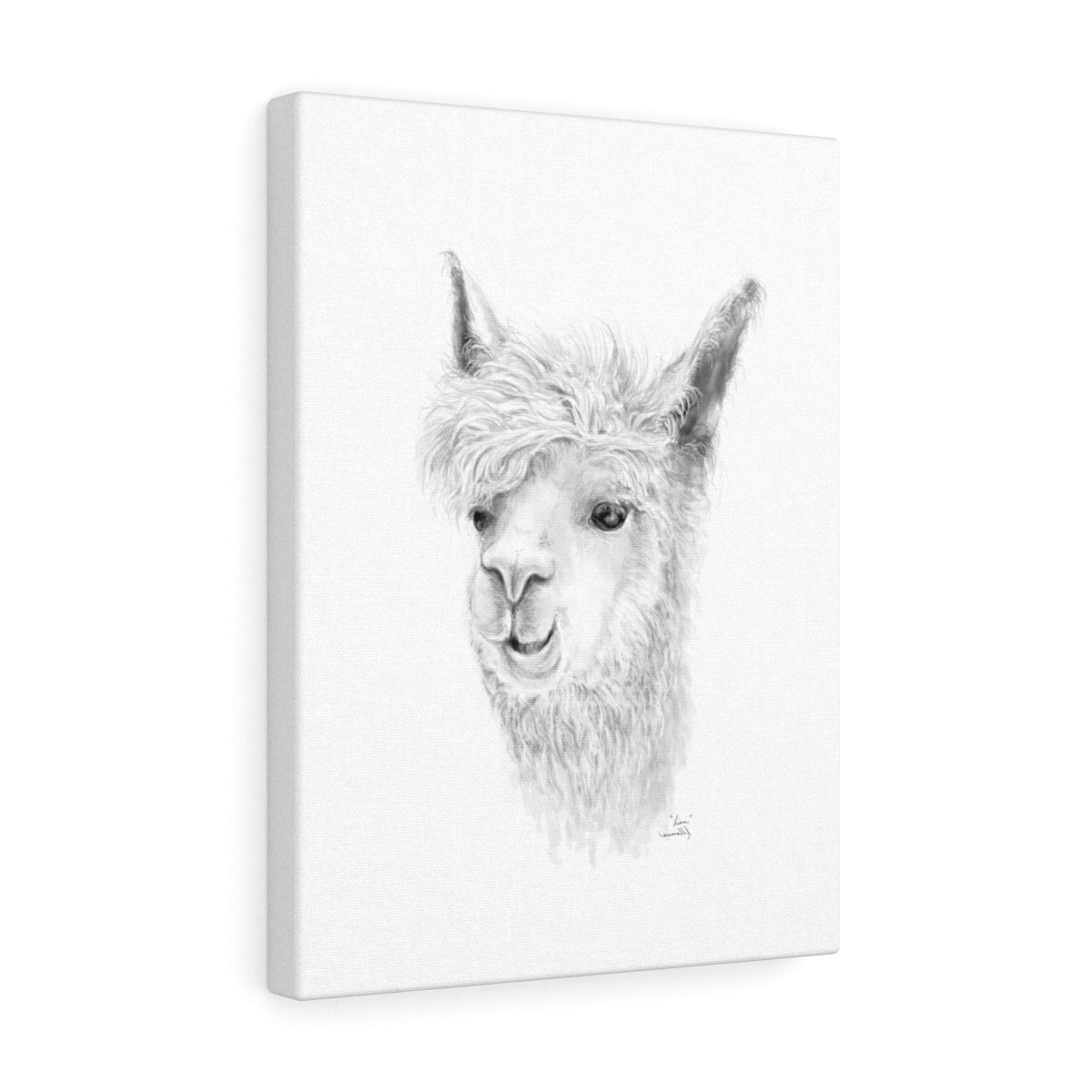 LIAM Llama - Art Canvas