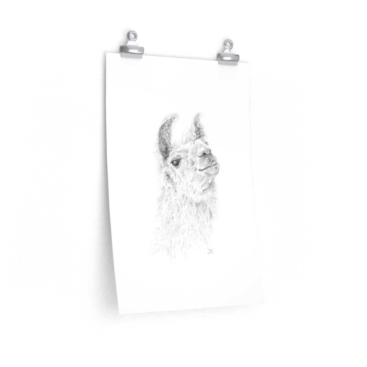 RODNEY Llama- Art Paper Print