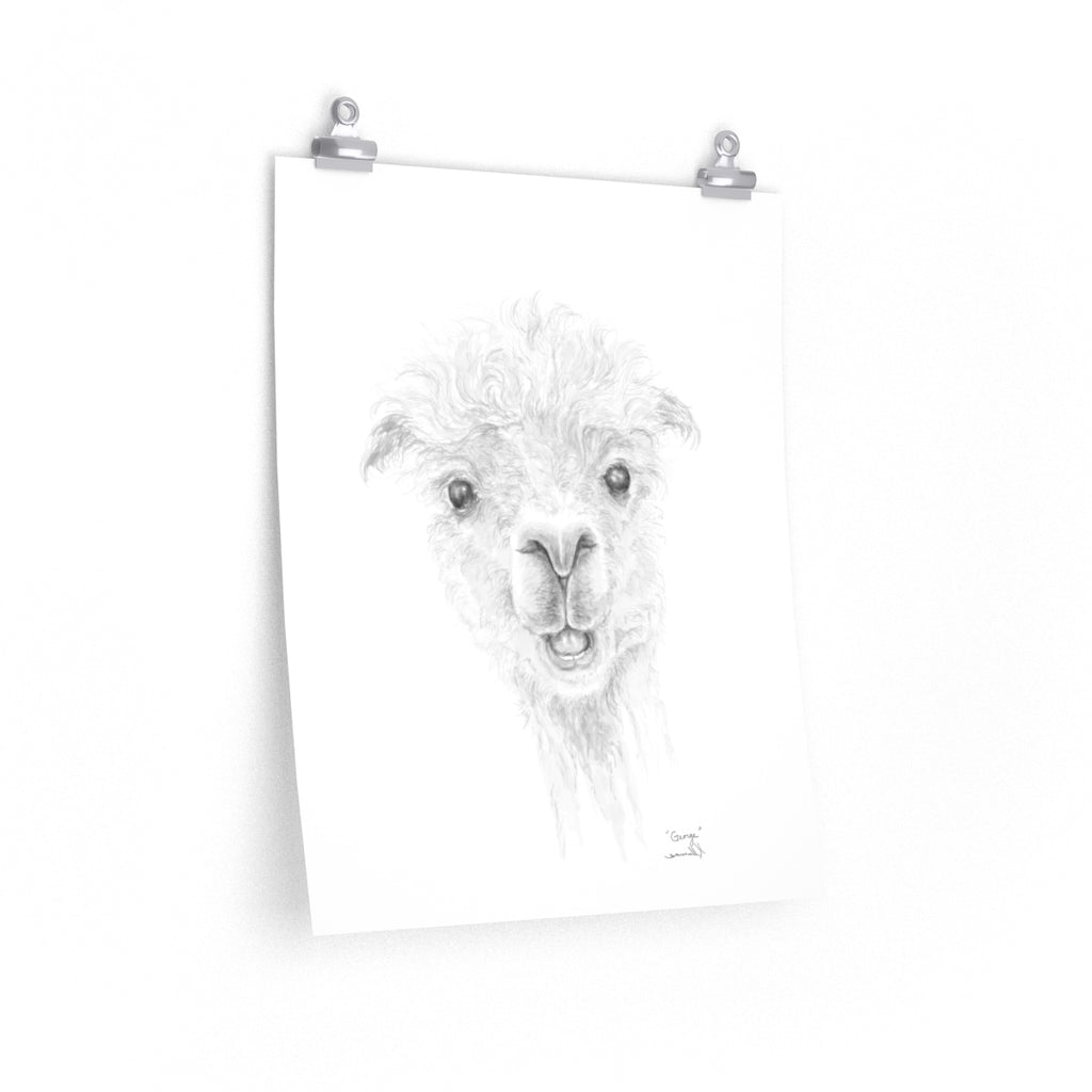GEORGE Llama- Art Paper Print