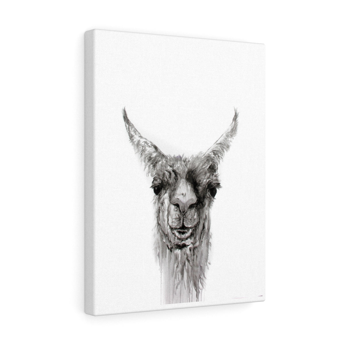 NEMORIO Llama - Art Canvas