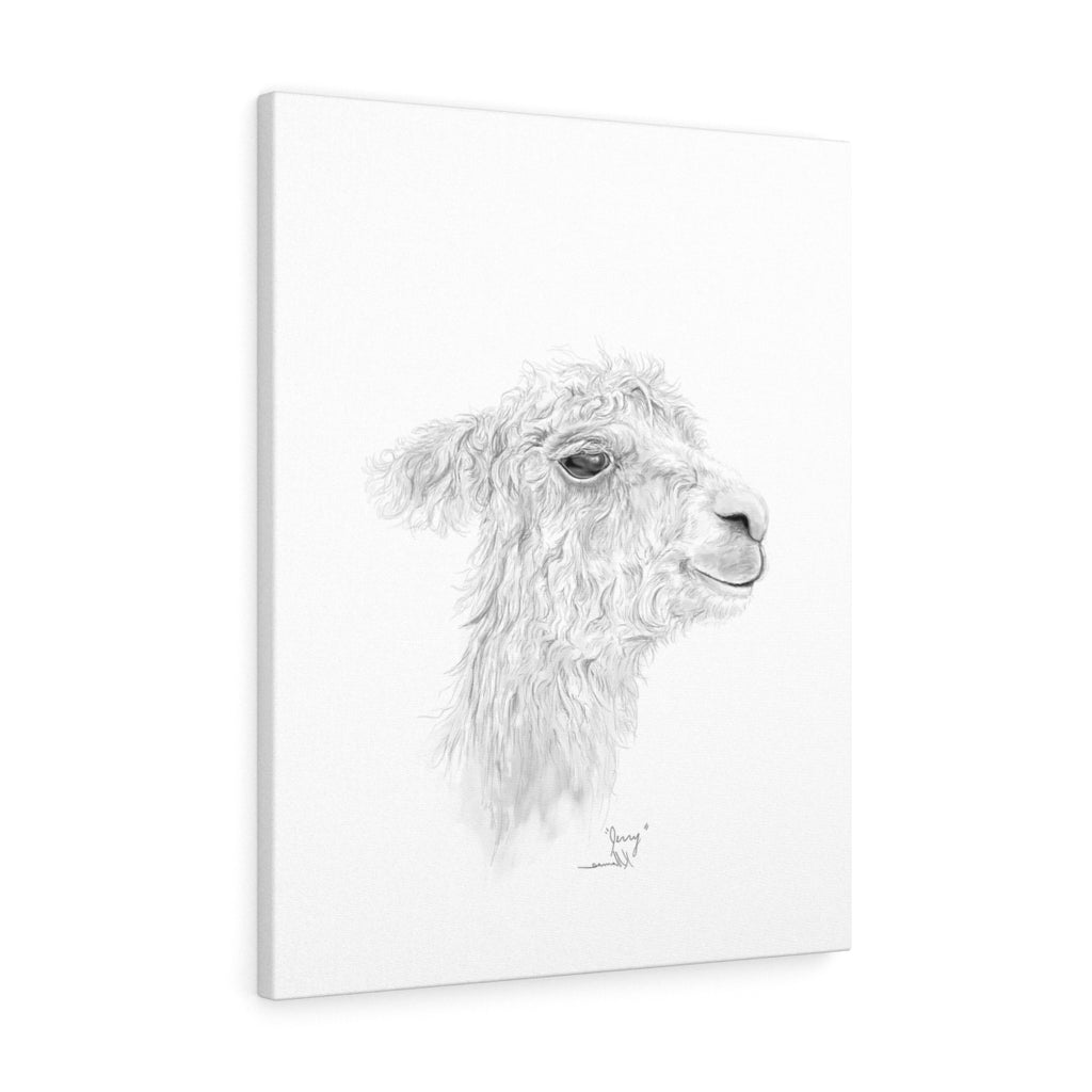 JERRY Llama - Art Canvas