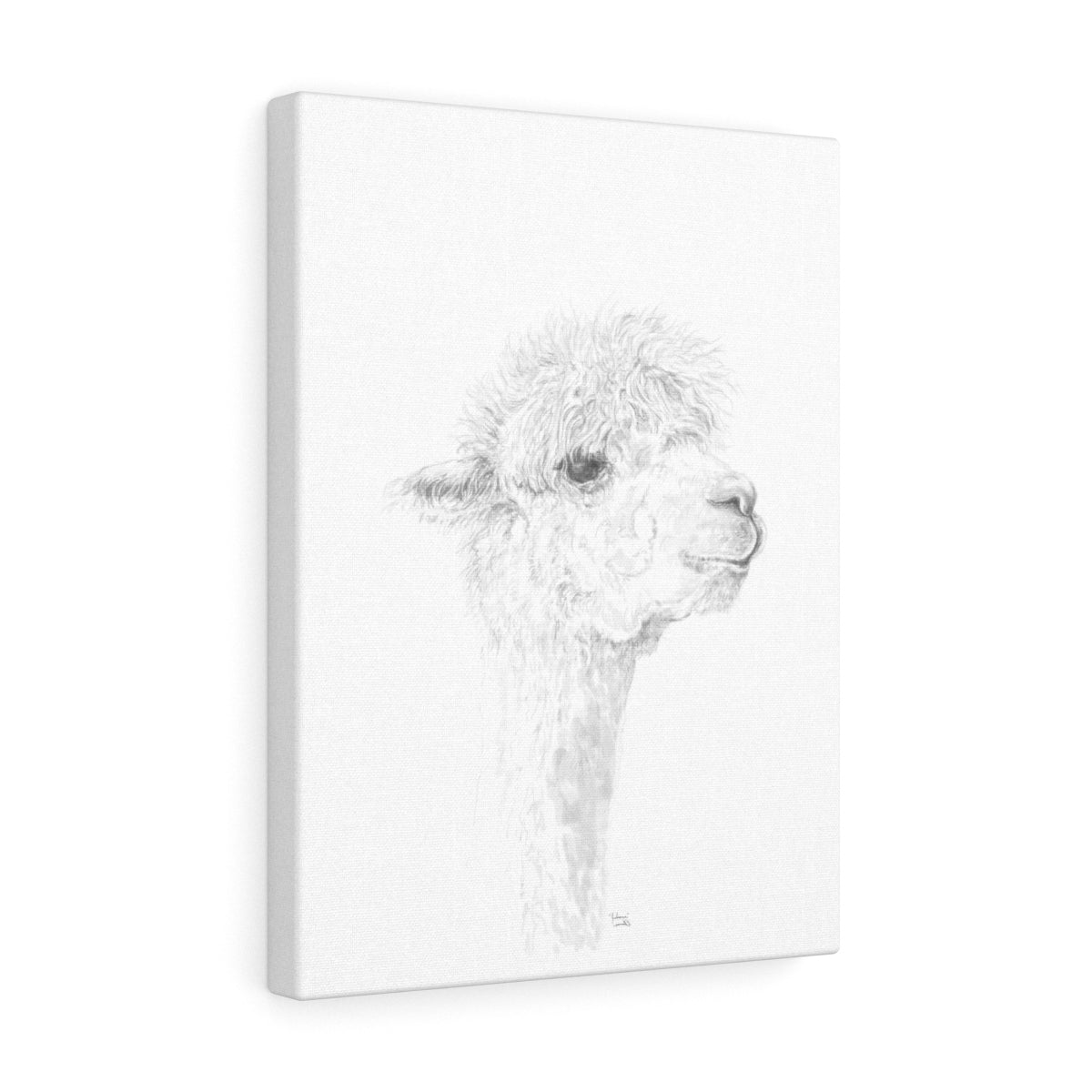 JULIANA Llama - Art Canvas