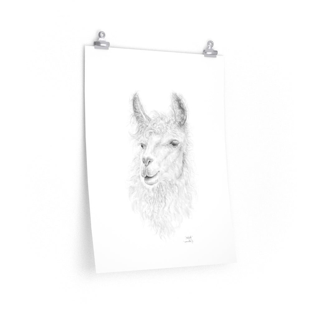 MICHELLE Llama- Art Paper Print
