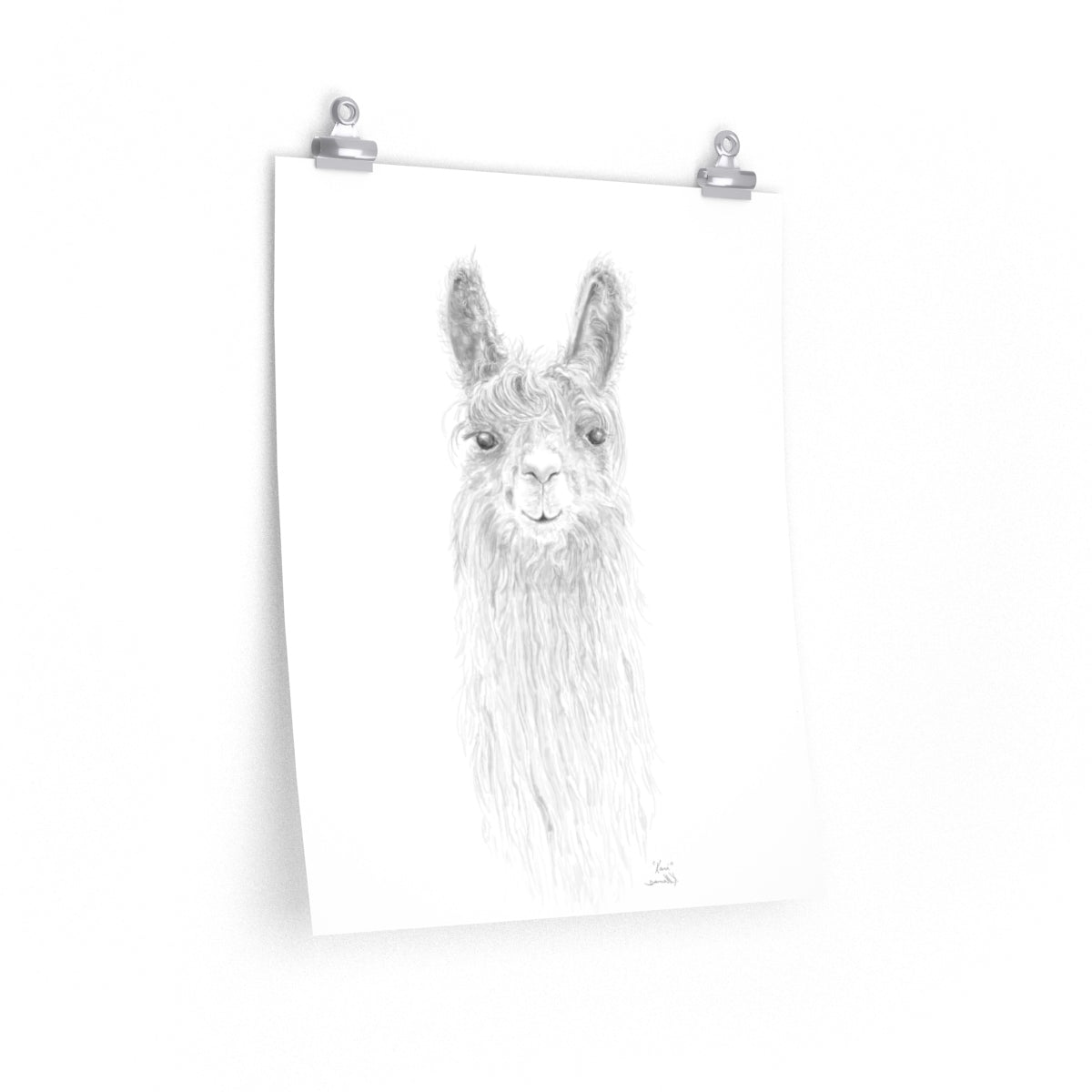 KARI Llama- Art Paper Print