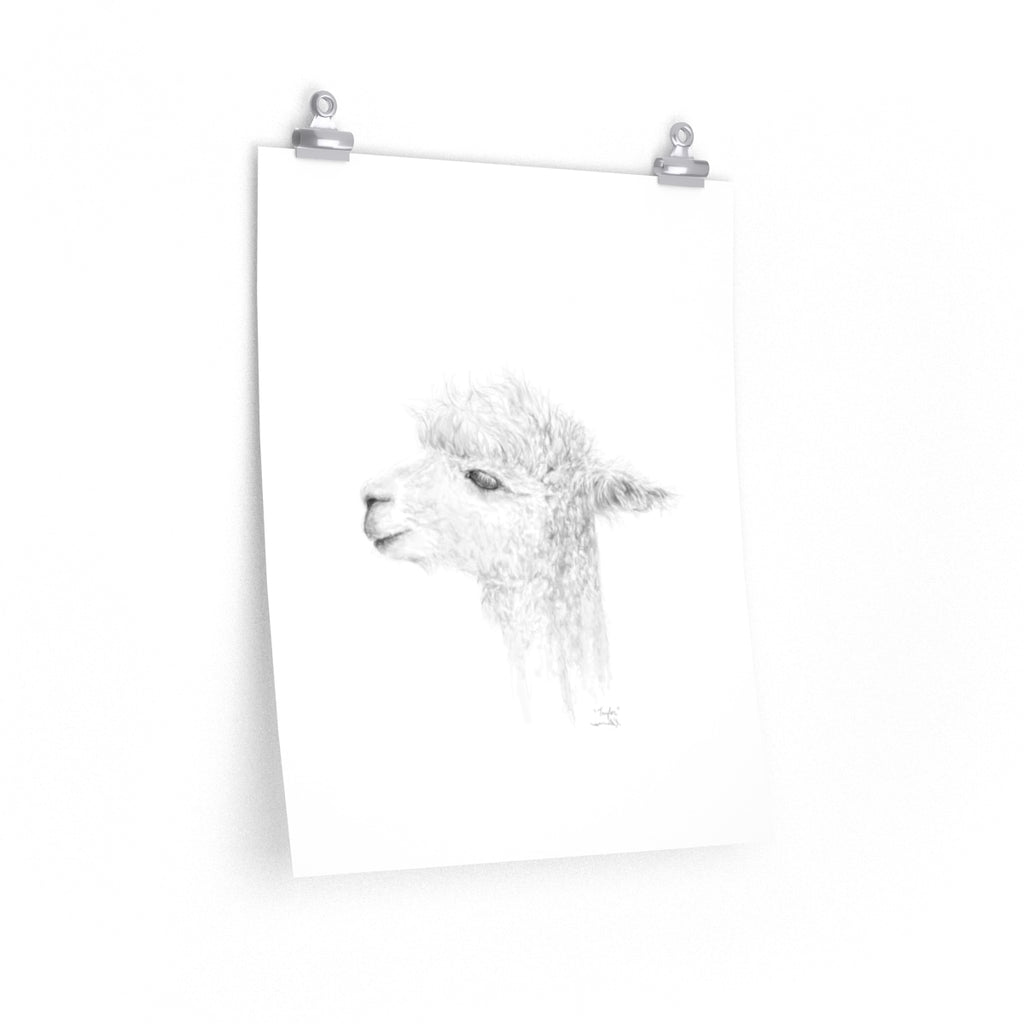 TAYLOR Llama- Art Paper Print
