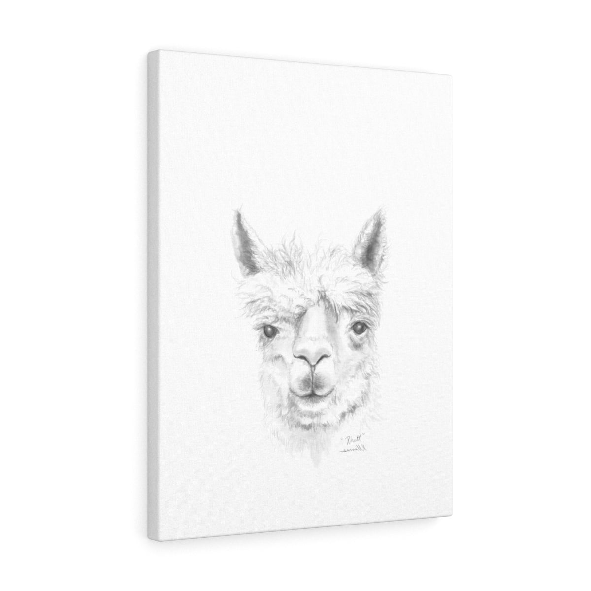 RHETT Llama - Art Canvas