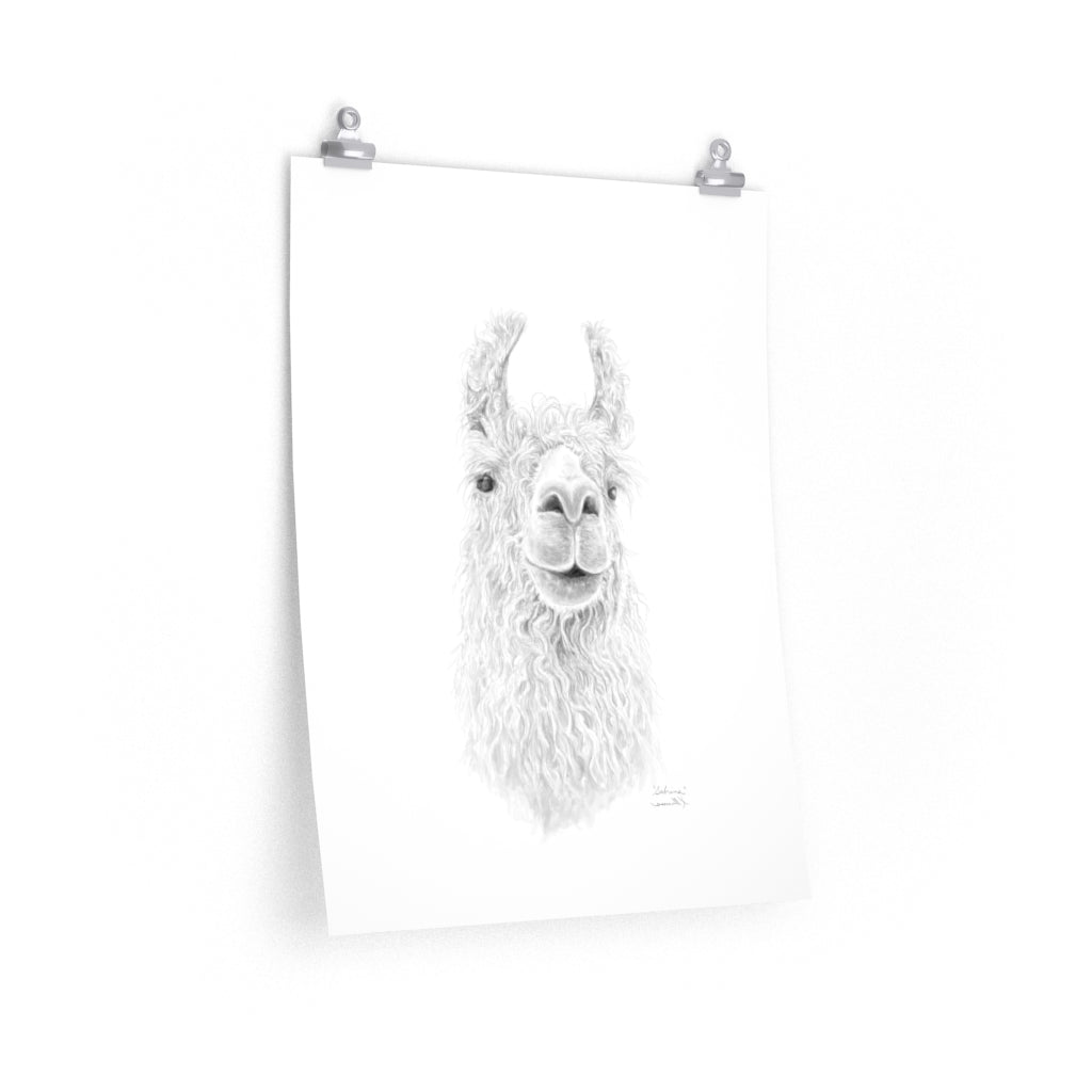 SABRINA Llama- Art Paper Print