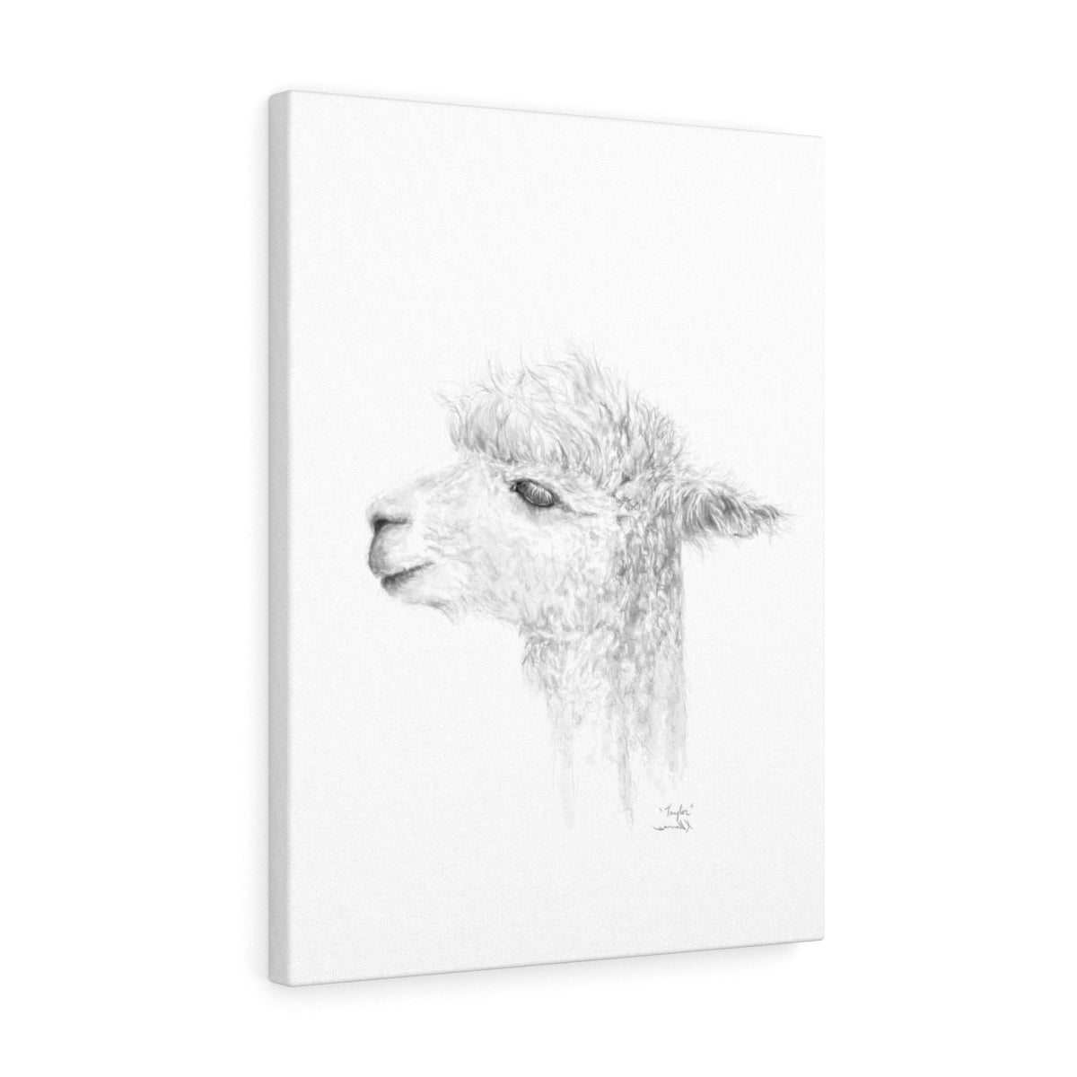 TAYLOR Llama - Art Canvas