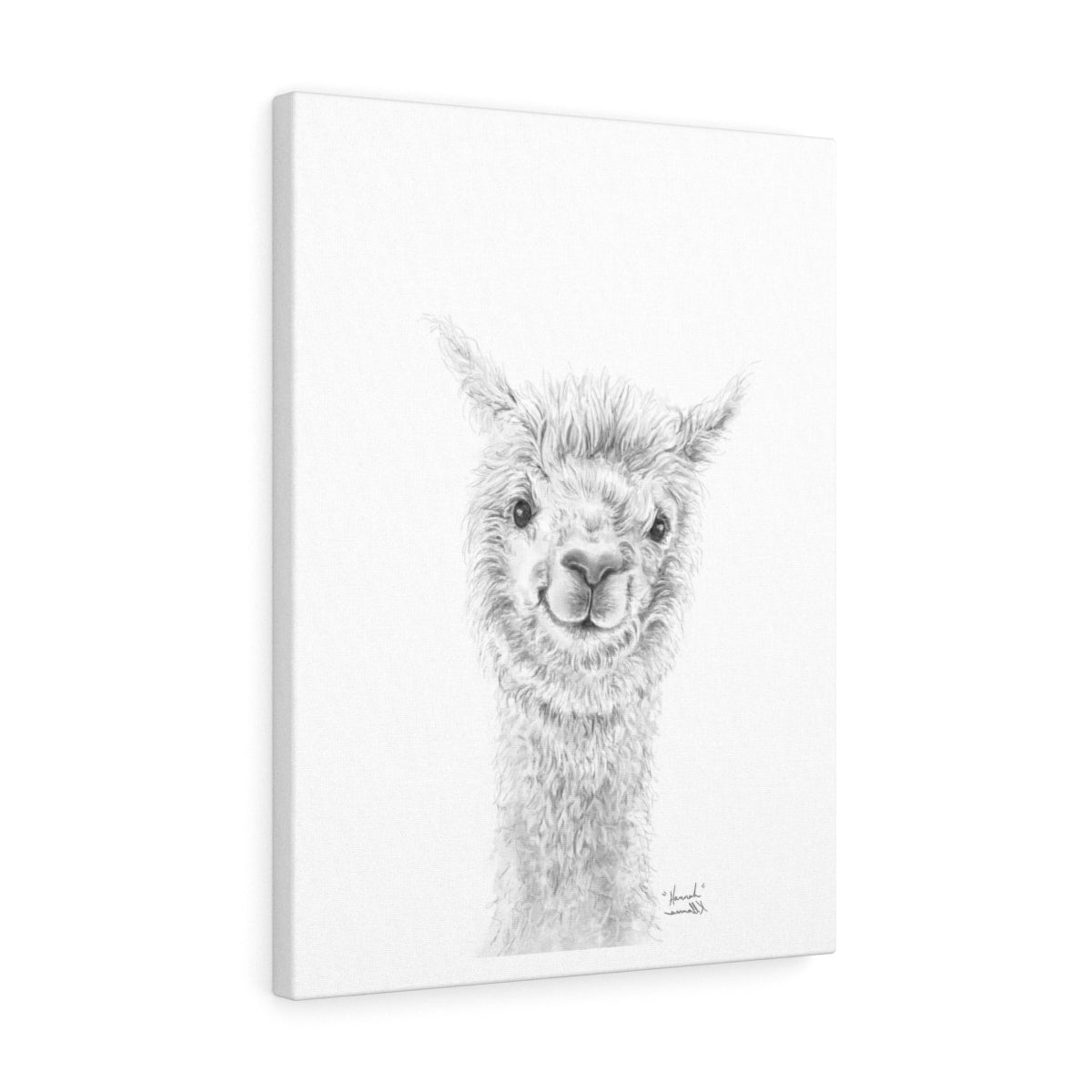 HANNAH Llama - Art Canvas