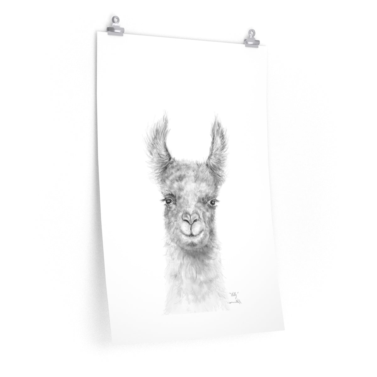KELLY Llama- Art Paper Print