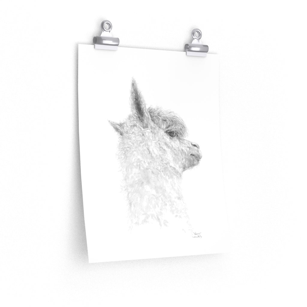 NAOMI Llama- Art Paper Print