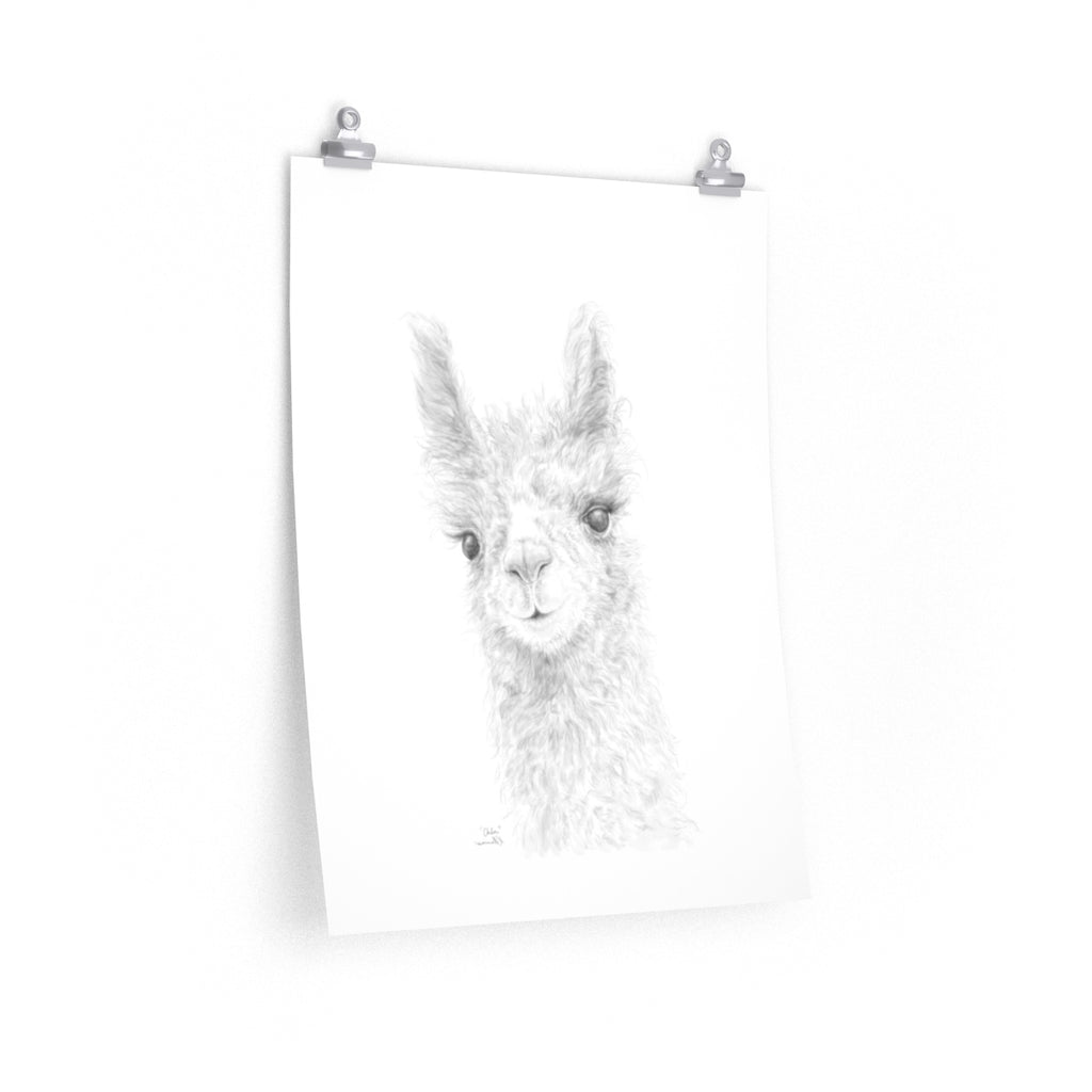 CHLOE Llama- Art Paper Print
