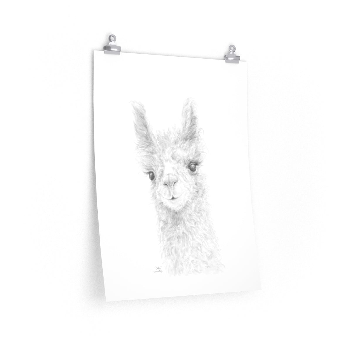 CHLOE Llama- Art Paper Print