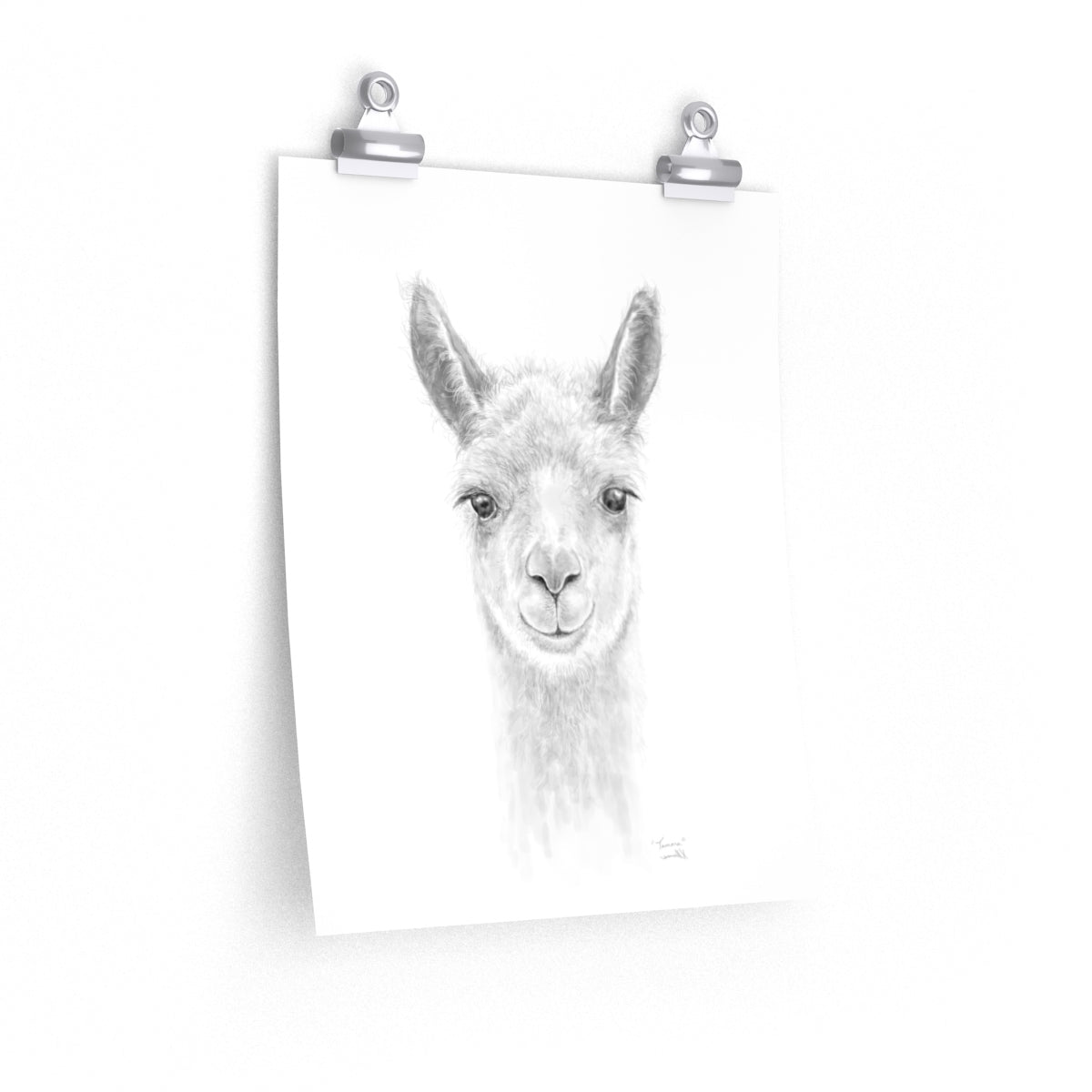TAMARA Llama- Art Paper Print