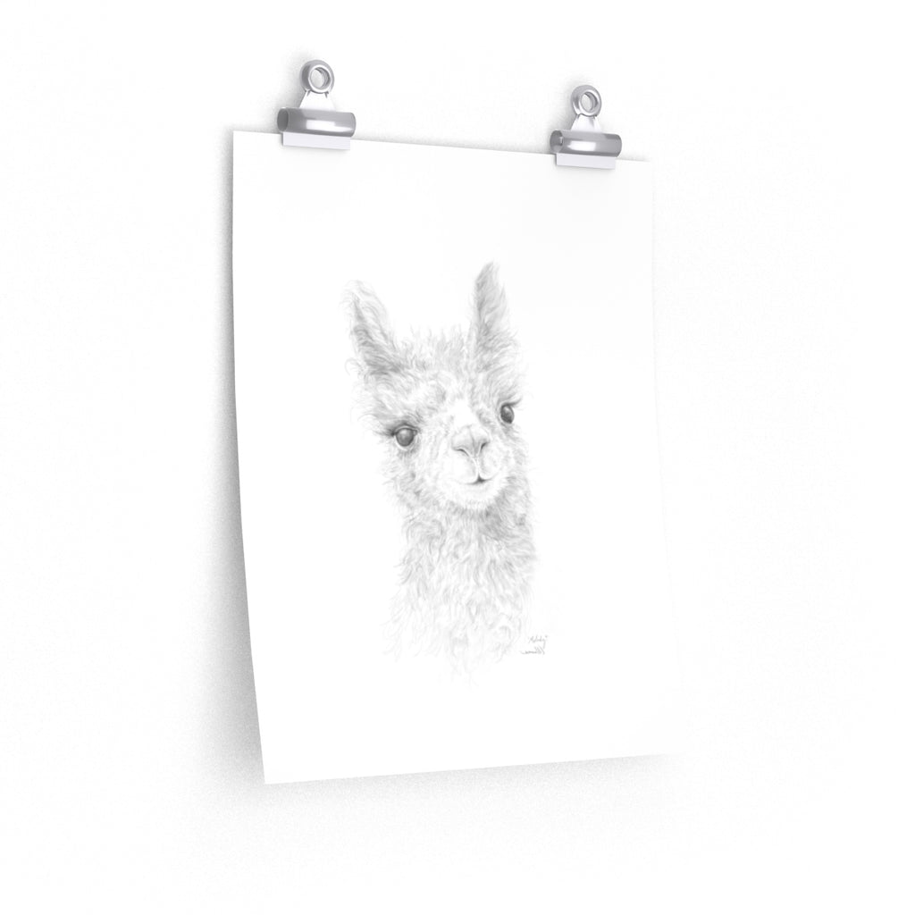 MELODY Llama- Art Paper Print
