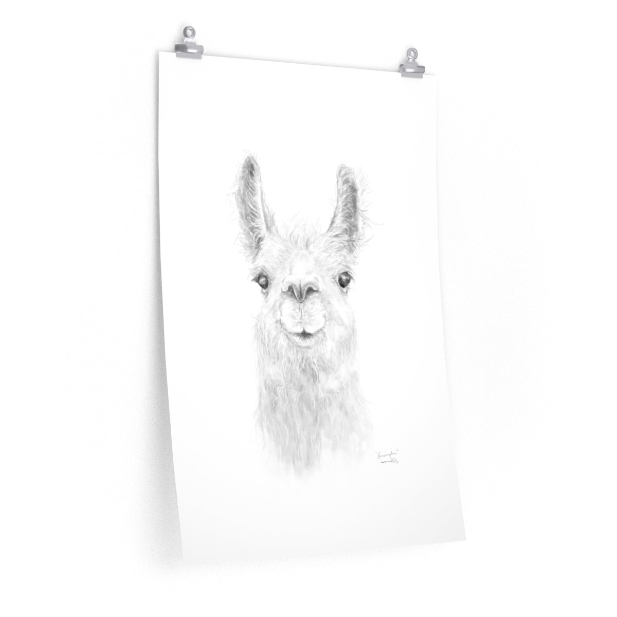 KENSINGTON Llama- Art Paper Print