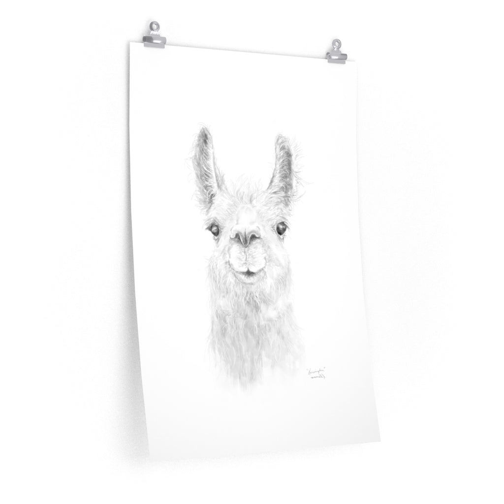 KENSINGTON Llama- Art Paper Print