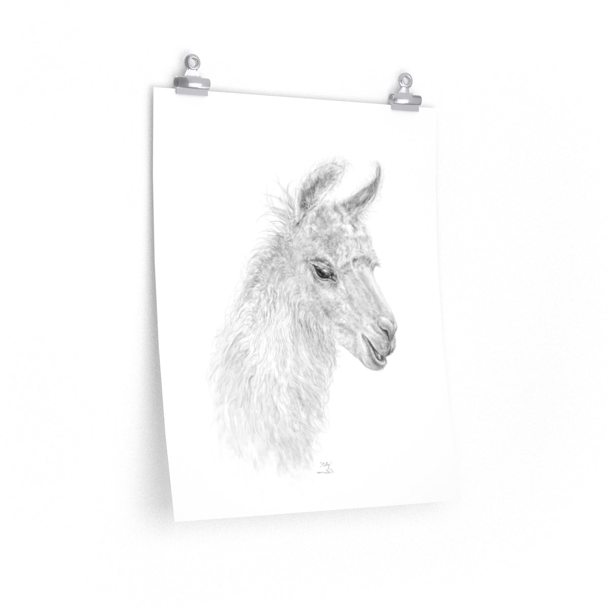 MOLLY Llama- Art Paper Print
