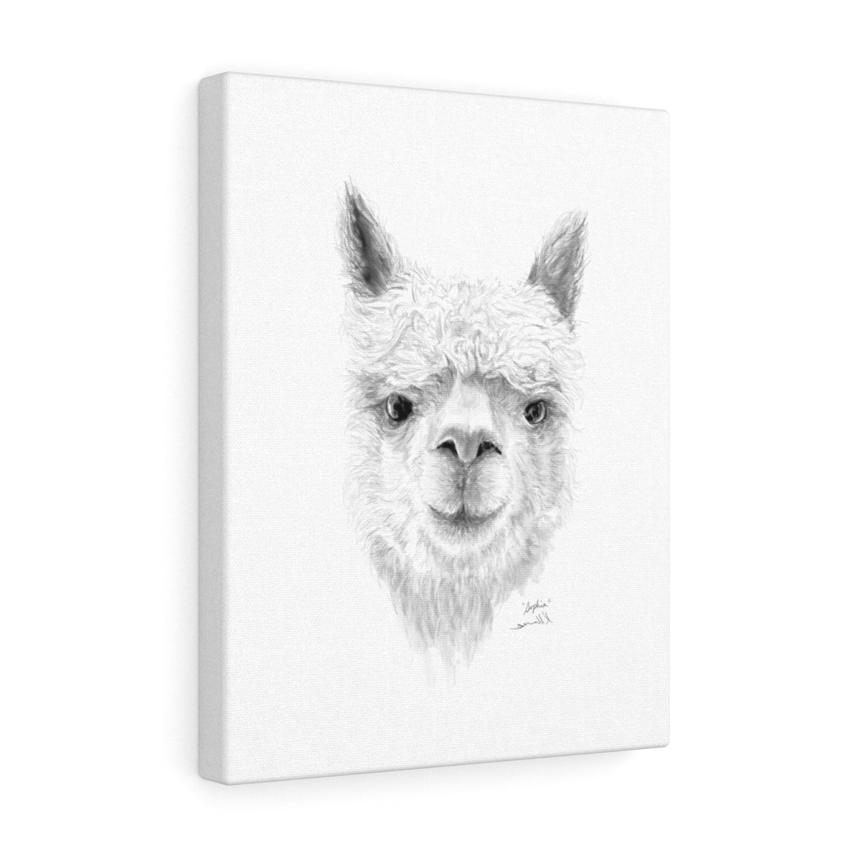 SOPHIA Llama - Art Canvas