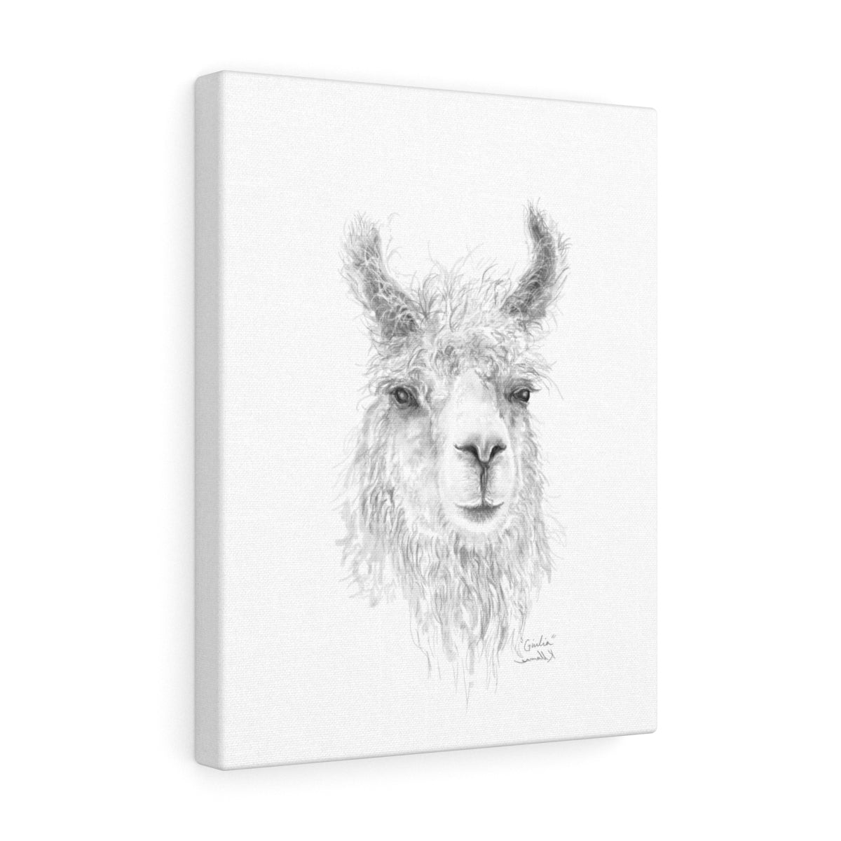 GIULIA Llama - Art Canvas