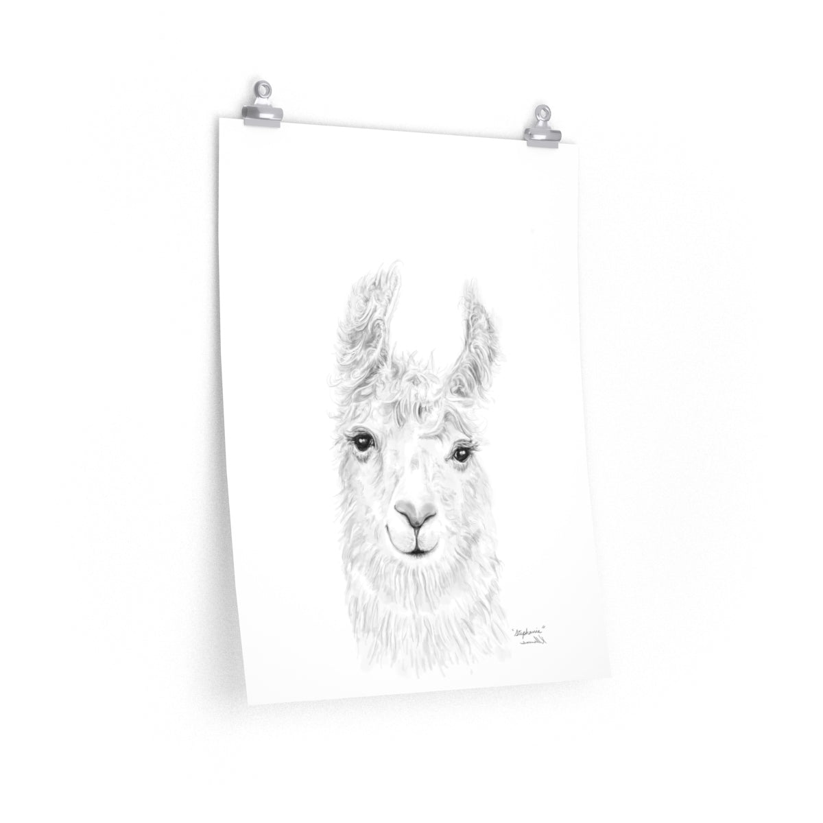 STEPHANIE Llama- Art Paper Print