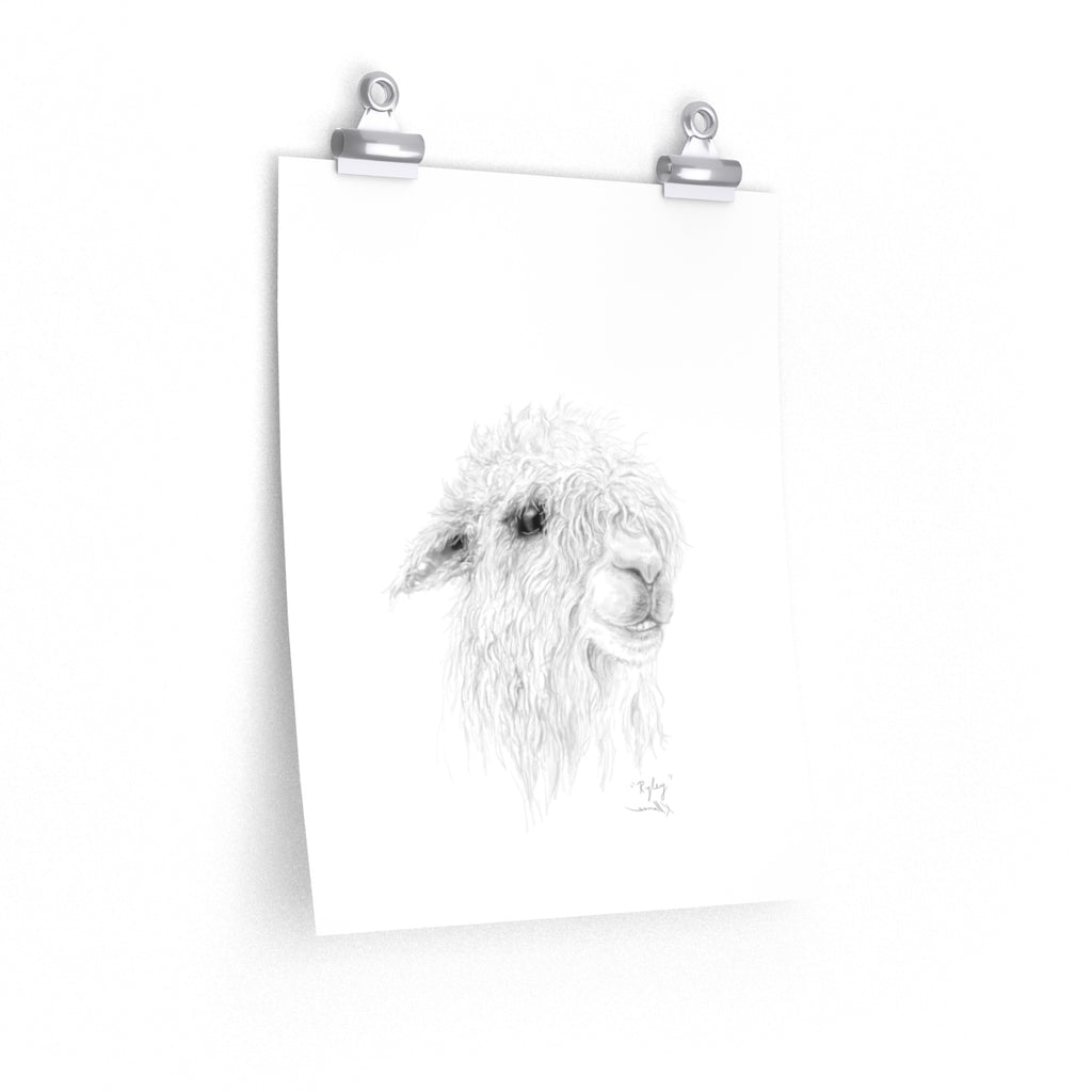 RYLEY Llama- Art Paper Print