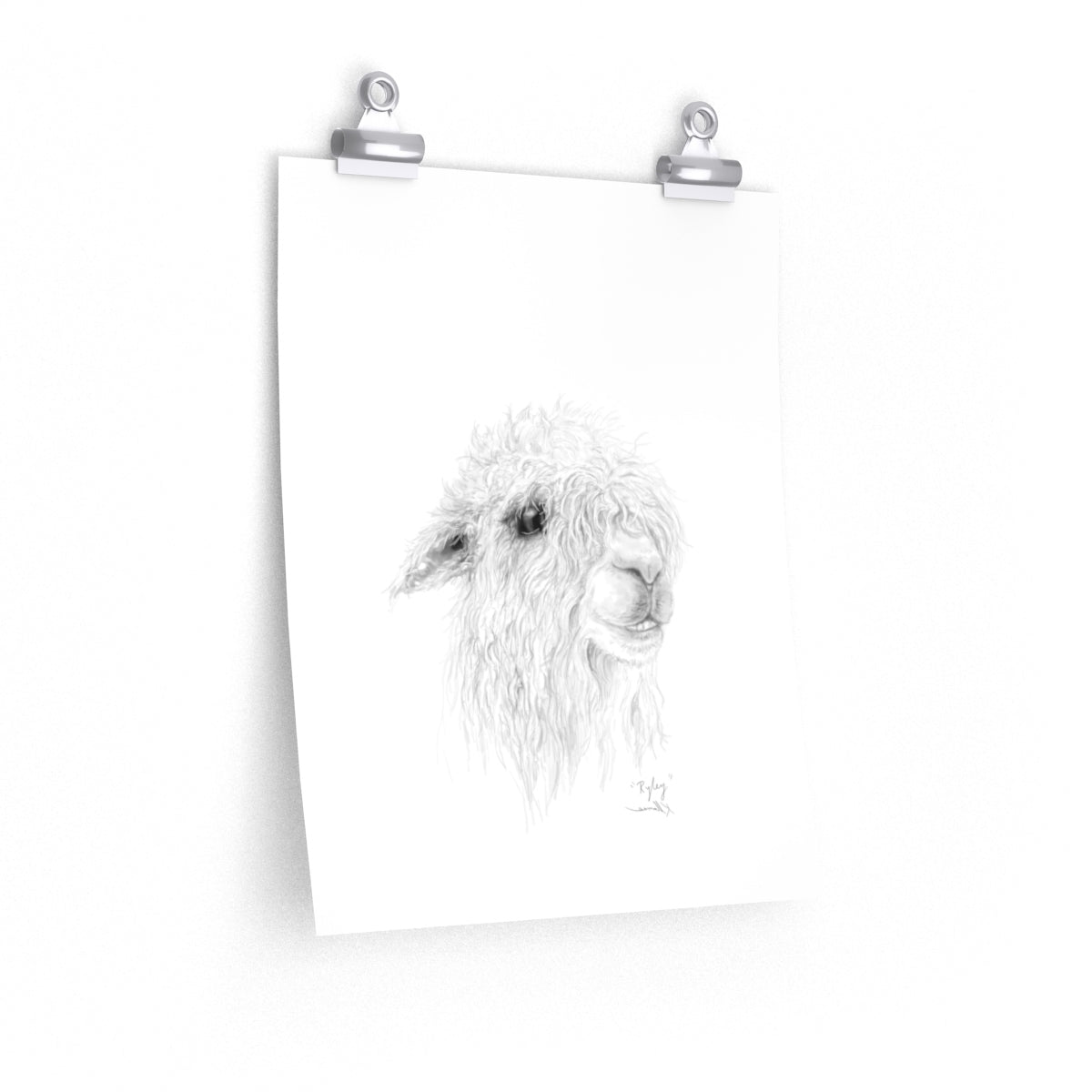 RYLEY Llama- Art Paper Print