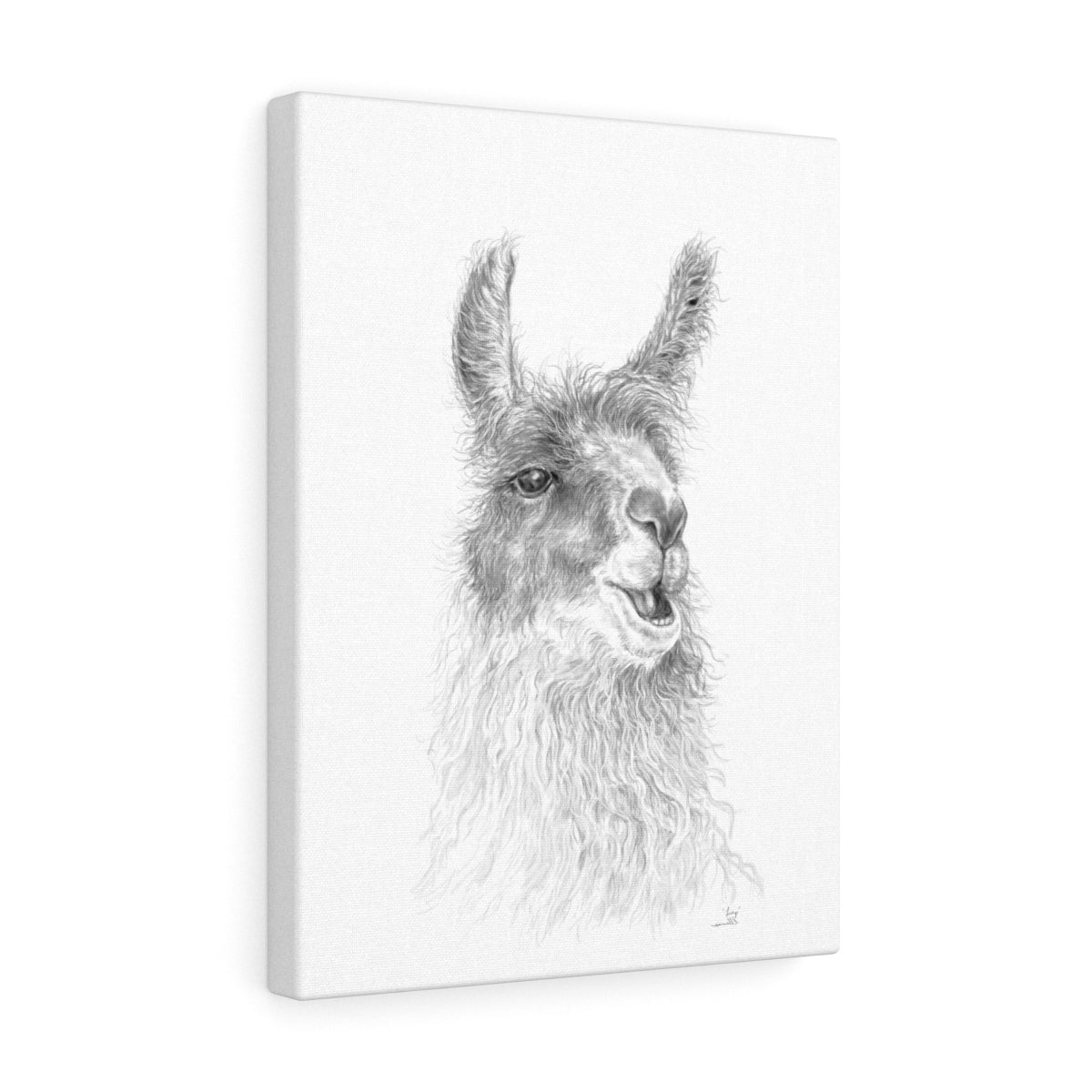LUCY Llama - Art Canvas