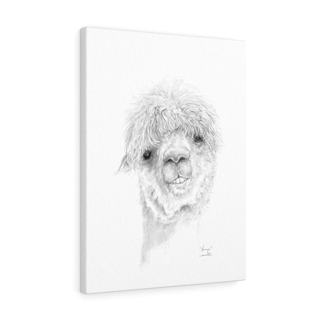 HOUZER Llama - Art Canvas
