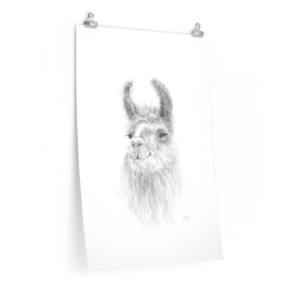 ADELAIDE Llama- Art Paper Print